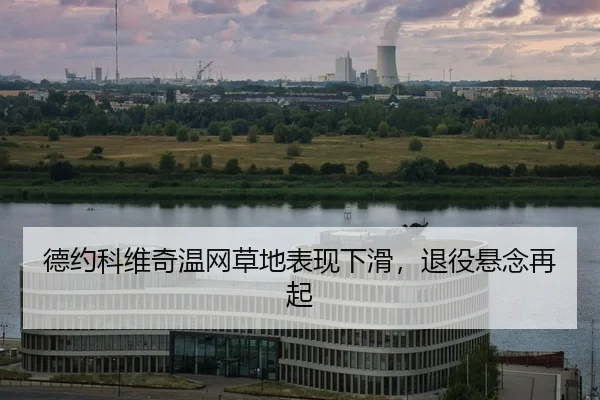de-yue-ke-wei-qi-wen-wang-cao-di-biao-xian-xia-hua-tui-yi-xuan-nian-zai-qi-2-411.jpg