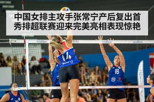 volleyball match